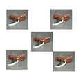 ab7f17c98969dd5fd5e3e119e340b129